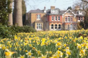 Spring & Summer Home Maintenance Tips