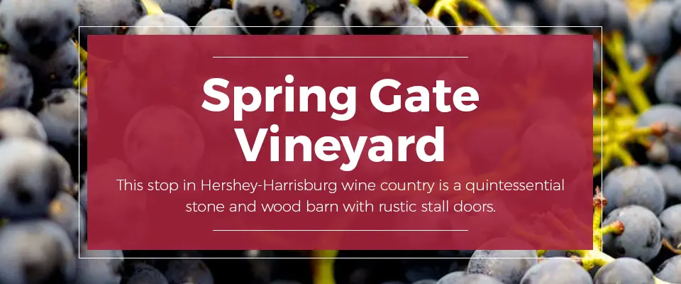 8 Hershey-Harrisburg Wineries to Visit