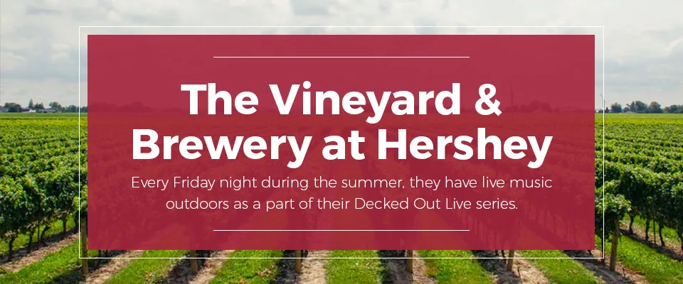 8 Hershey-Harrisburg Wineries to Visit