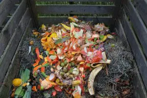 How to Start Composting at Home