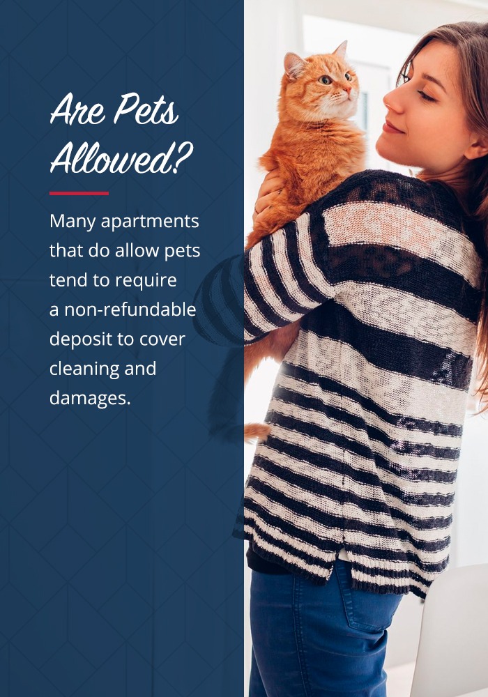 Find a pet friendly apartment