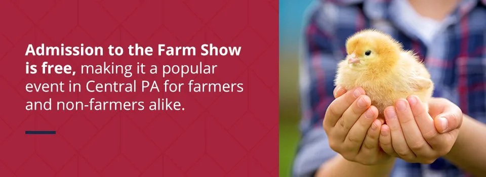 Everything You Need to Know About the PA Farm Show