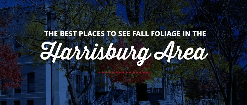 The Best Places to See Fall Foliage in the Harrisburg Area
