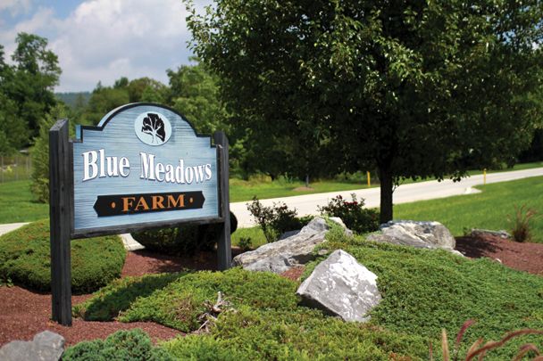 a sign for blue meadows farm is surrounded by rocks and bushes