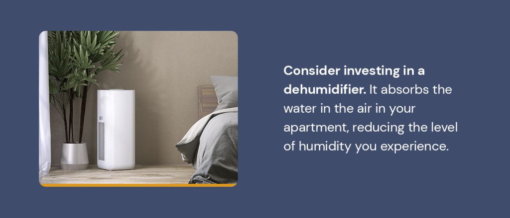 Consider investing in a dehumidifier