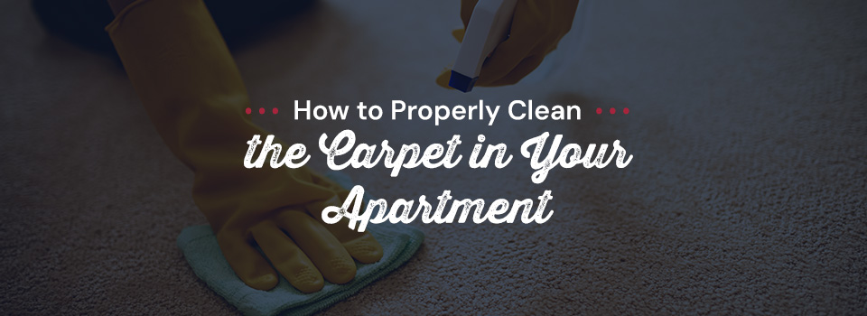 How to Properly Clean