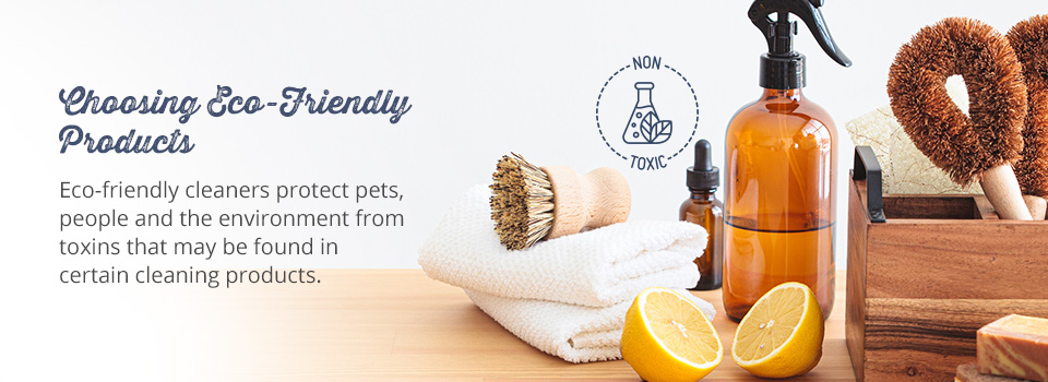 Choosing Eco-Friendly Products