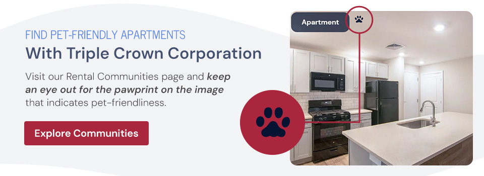 Find Pet Friendly Apartments