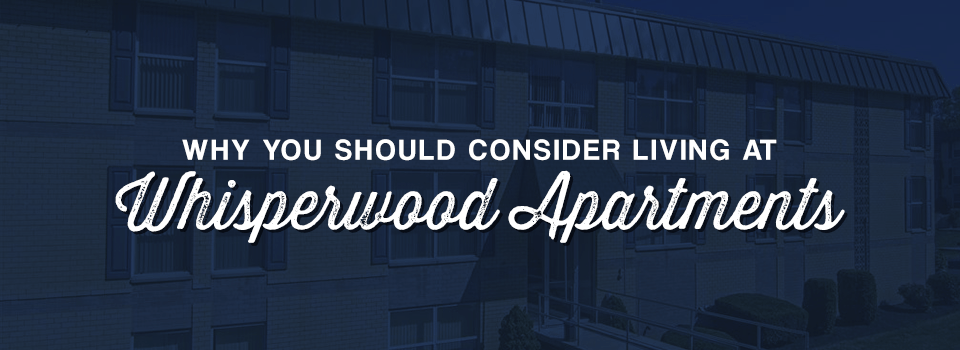 Why You Should Consider Living at Whisperwood Apartments